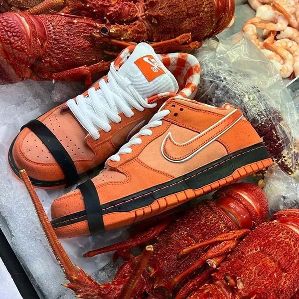 Concepts x Nike SB Dunk Low Orange Lobster