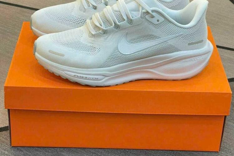 Giày Nike Air Zoom Pegasus 41 Pure Platinum Màu Trắng