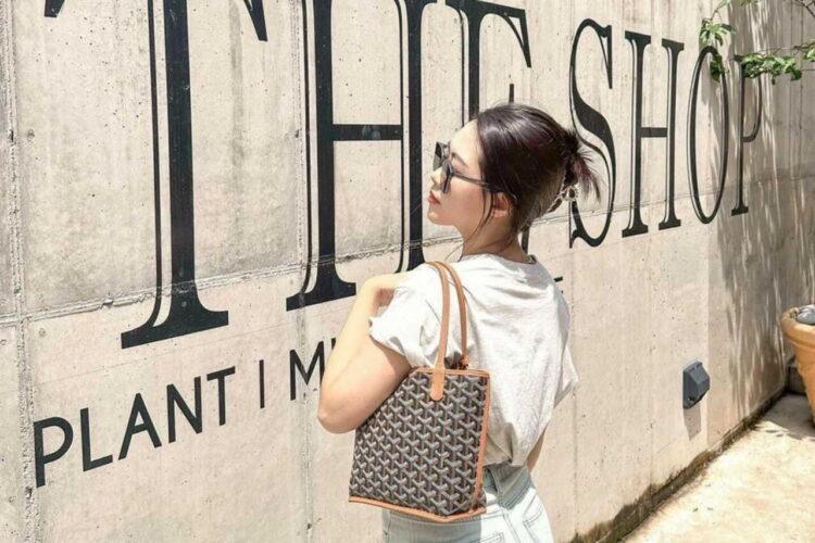 Túi Goyard Anjou Mini Bag Goyardine and Leather Black and Tan