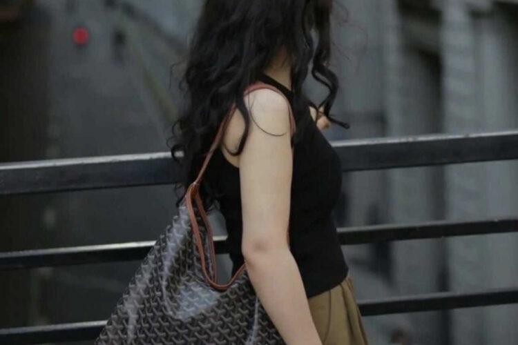 Túi Goyard Bohème Hobo Goyardine Canvas Black and Tan Đen Nâu