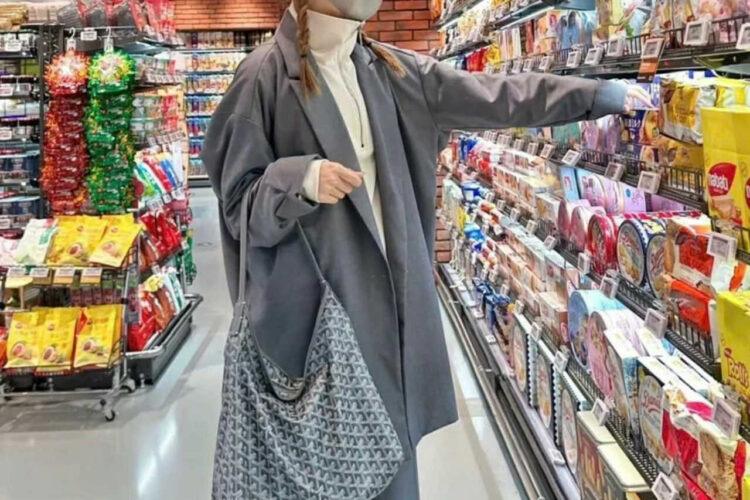 Túi Goyard Bohème Hobo Goyardine Canvas Gray Xám