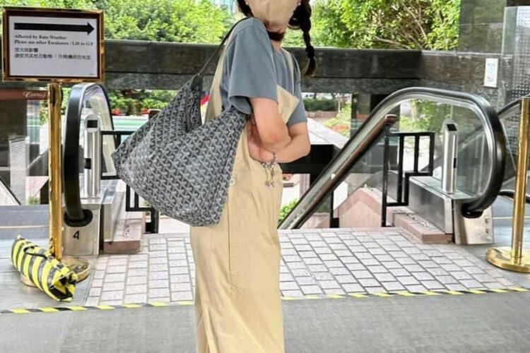 Túi Goyard Bohème Hobo Goyardine Canvas Gray Xám