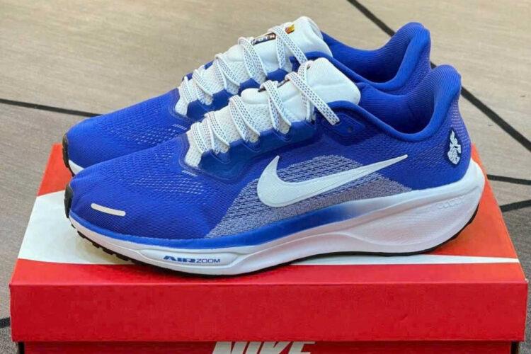 Giày Nike Air Zoom Pegasus 41 Blue White Xanh Trắng