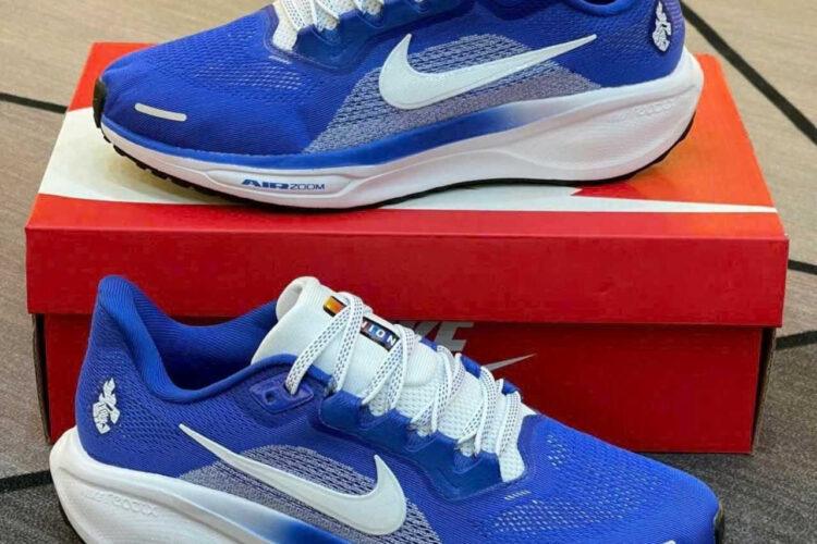 Giày Nike Air Zoom Pegasus 41 Blue White Xanh Trắng