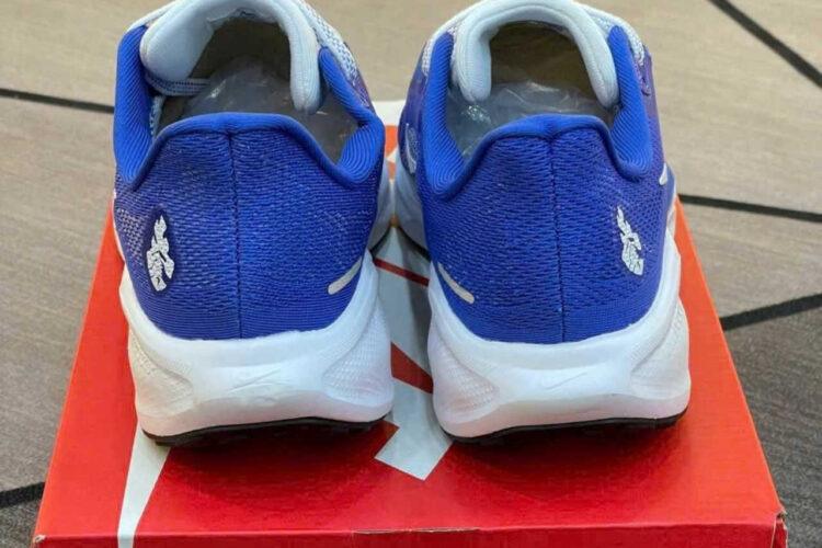 Giày Nike Air Zoom Pegasus 41 Blue White Xanh Trắng