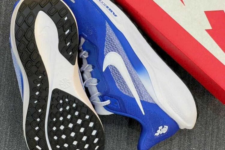 Giày Nike Air Zoom Pegasus 41 Blue White Xanh Trắng