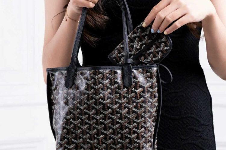 Túi Goyard Anjou Mini Reversible Bag Goyardine and Leather Black Đen