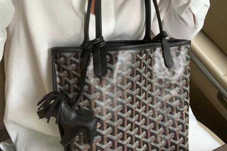 Túi Goyard Anjou Mini Reversible Bag Goyardine and Leather Black Đen