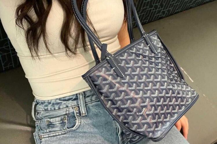 Túi Goyard Anjou Mini Reversible Bag Goyardine and Leather Navy Blue