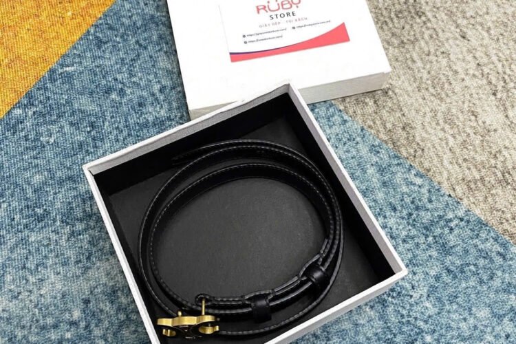 Thắt Lưng Celine Small Triomphe Belt Gold Buckle Black Box Leather