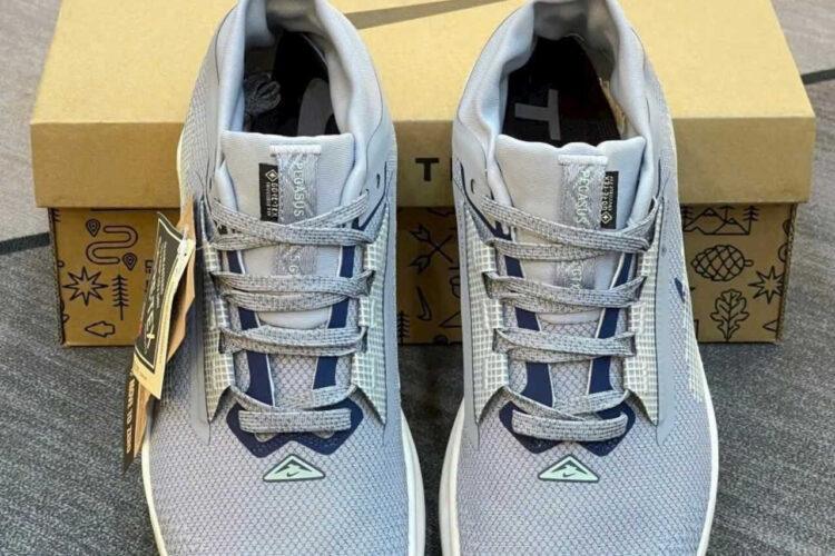 Giày Nike Pegasus Trail 5 Gore-Tex Cement Grey Jade Navy Xám