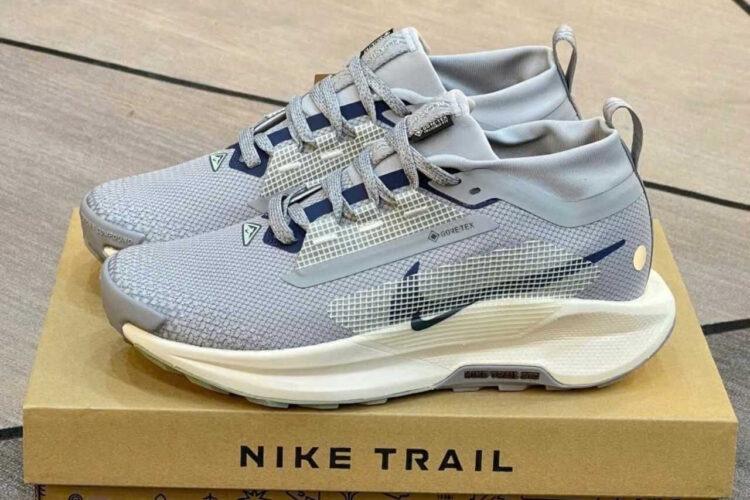Giày Nike Pegasus Trail 5 Gore-Tex Cement Grey Jade Navy Xám
