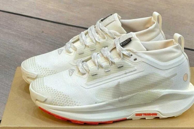 Giày Nike Pegasus Trail 5 Gore-Tex Sail Red Light Brown Màu Kem