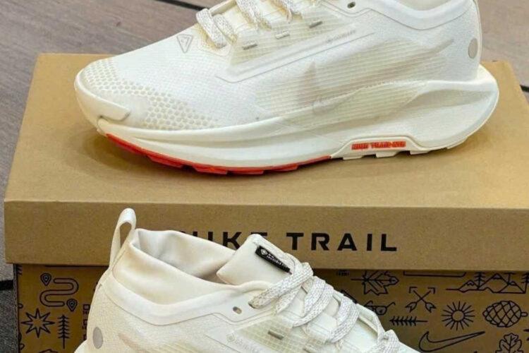 Giày Nike Pegasus Trail 5 Gore-Tex Sail Red Light Brown Màu Kem