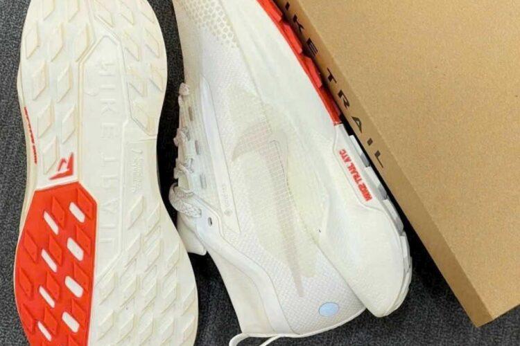 Giày Nike Pegasus Trail 5 Gore-Tex Sail Red Light Brown Màu Kem