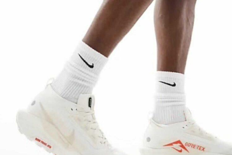 Giày Nike Pegasus Trail 5 Gore-Tex Sail Red Light Brown Màu Kem