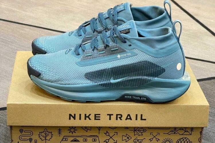 Giày Nike Pegasus Trail 5 Gore-Tex Smoky Blue Silver Navy Xanh Dương