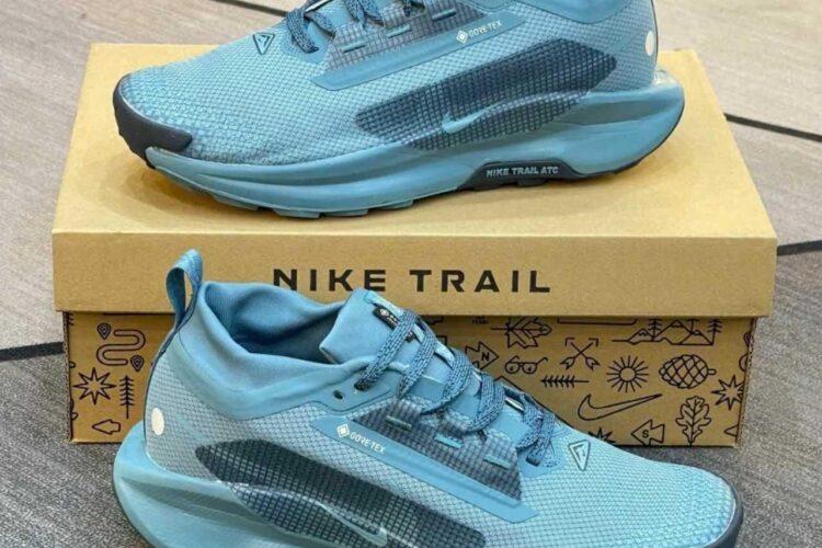 Giày Nike Pegasus Trail 5 Gore-Tex Smoky Blue Silver Navy Xanh Dương