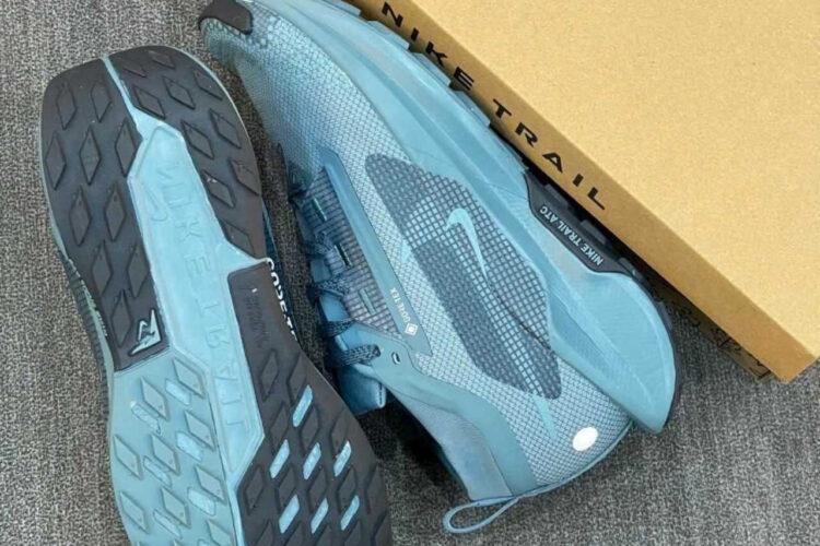 Giày Nike Pegasus Trail 5 Gore-Tex Smoky Blue Silver Navy Xanh Dương