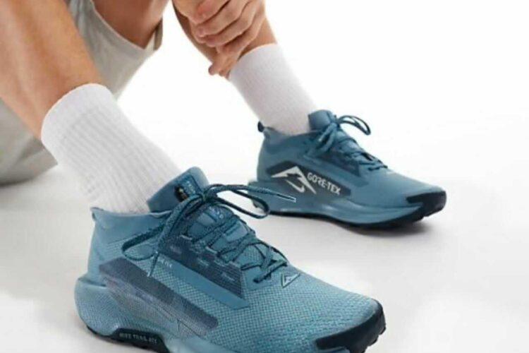 Giày Nike Pegasus Trail 5 Gore-Tex Smoky Blue Silver Navy Xanh Dương
