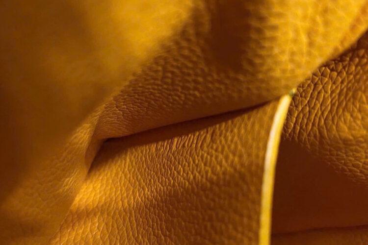 Túi Goyard Saigon Souple Mini Black And Tan