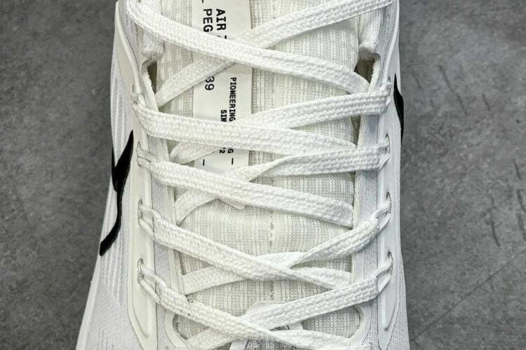 Giày Nike Zoom Pegasus 39 White Black Trắng Đen