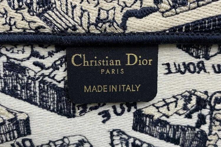 Túi Medium Dior Book Tote Blue And Beige Plan De Paris