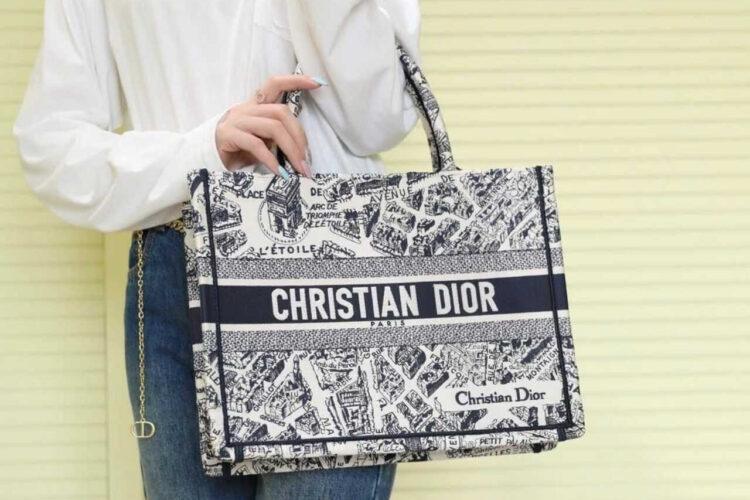 Túi Medium Dior Book Tote Blue And Beige Plan De Paris