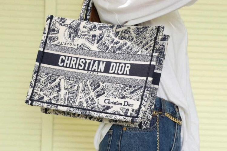 Túi Medium Dior Book Tote Blue And Beige Plan De Paris Best Pháp - Ảnh 12