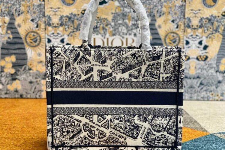 Túi Medium Dior Book Tote Blue And Beige Plan De Paris