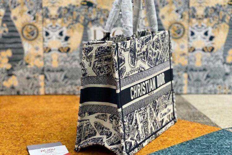 Túi Medium Dior Book Tote Blue And Beige Plan De Paris