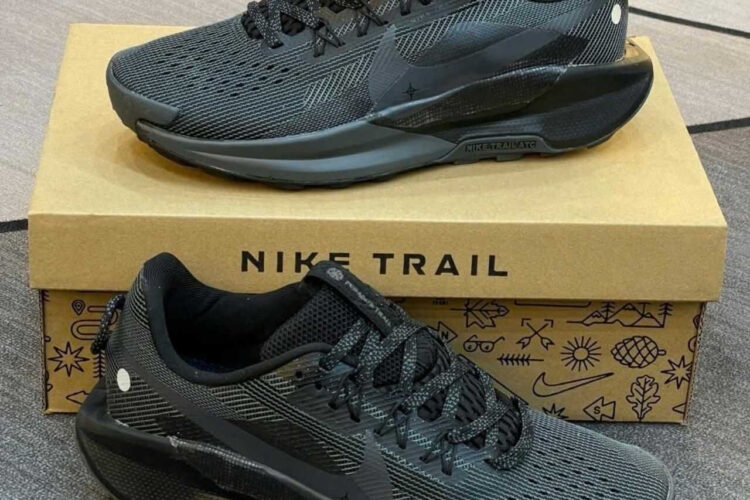 Giày Nike Pegasus Trail 5 Black Anthracite Màu đen