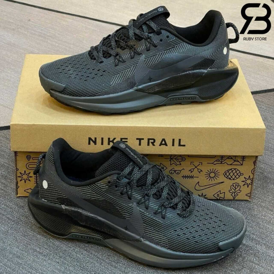 Giày Nike Pegasus Trail 5 Black Anthracite Màu đen