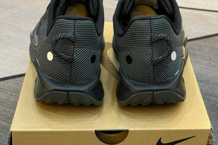 Giày Nike Pegasus Trail 5 Black Anthracite Màu đen