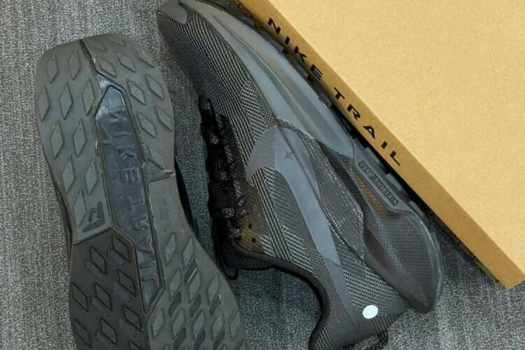 Giày Nike Pegasus Trail 5 Black Anthracite Màu đen