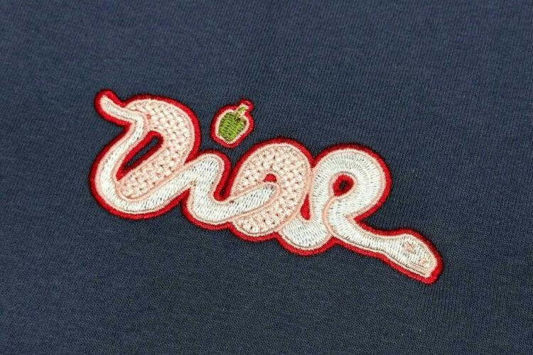 Áo Thun Dior And Kaws T-Shirt Blue Cotton Jersey