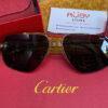 Mắt Kính Cartier Pilot Sunglasses