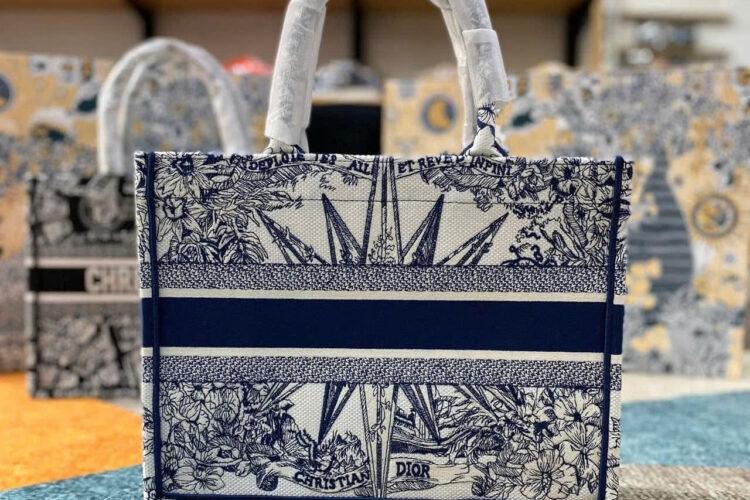 Túi Dior Tote Book Medium White Blue Rêve D'Infini Embroidery