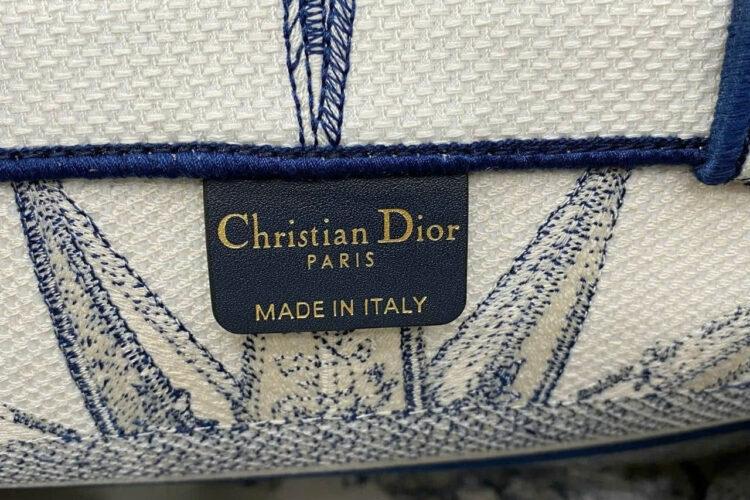 Túi Dior Tote Book Medium White Blue Rêve D'Infini Embroidery