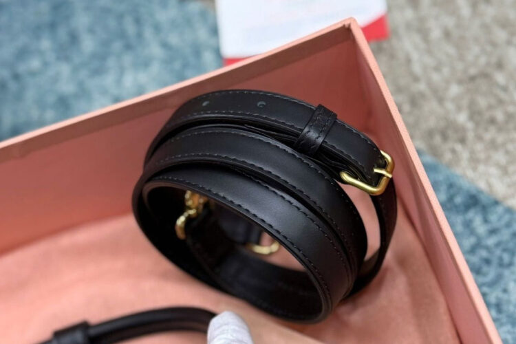 Túi Miu Miu Arcadie Black Leather Regular Bag Size 22 đen