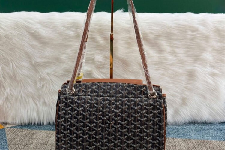 Túi Goyard Rouette Souple Black Goyardine Tan Calfskin PM Bag Size 31CM