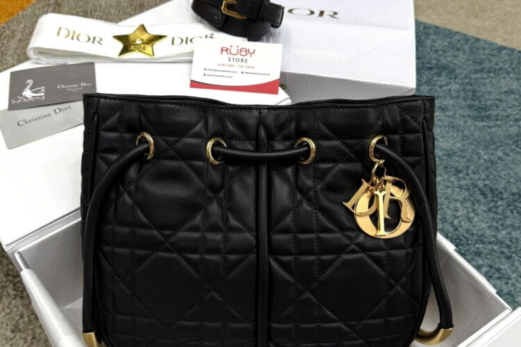 Túi Dior Nolita Medium Black Lambskin Màu Đen
