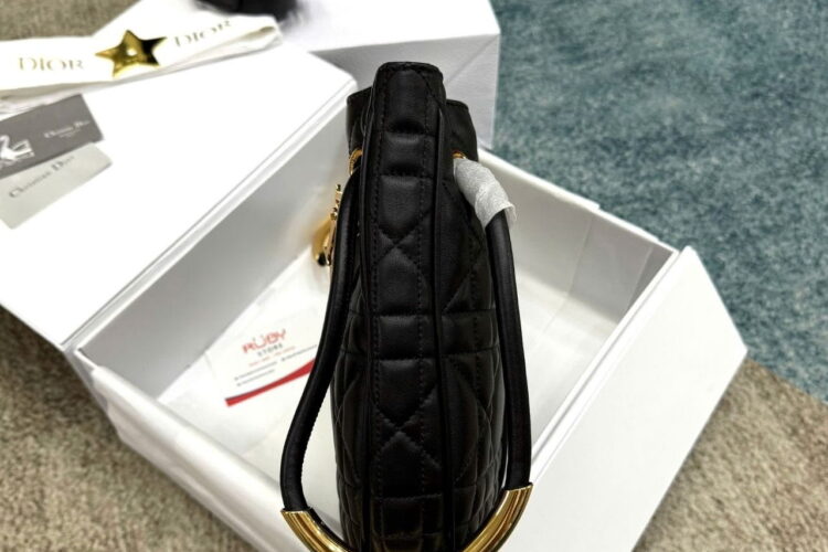 Túi Dior Nolita Medium Black Lambskin Màu Đen