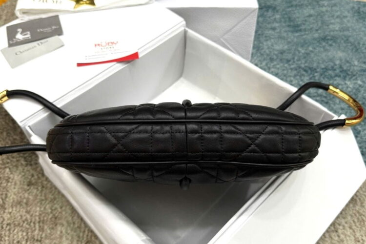 Túi Dior Nolita Medium Black Lambskin Màu Đen