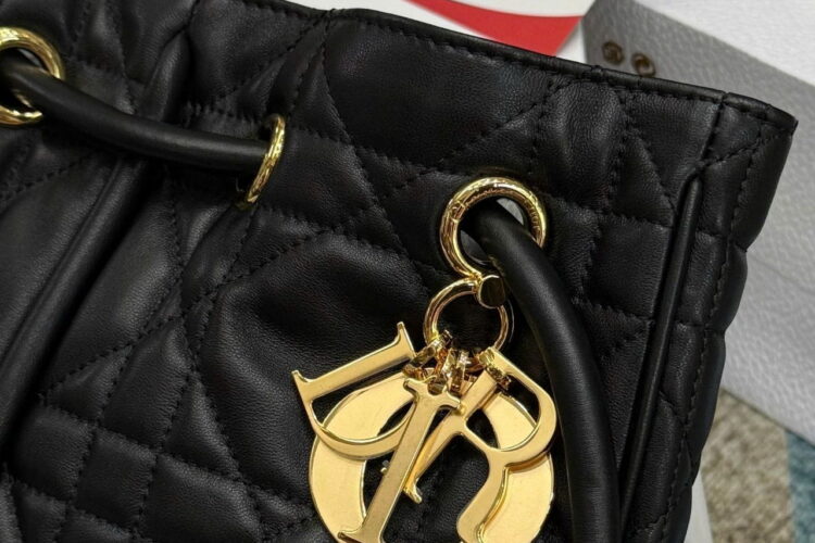 Túi Dior Nolita Medium Black Lambskin Màu Đen