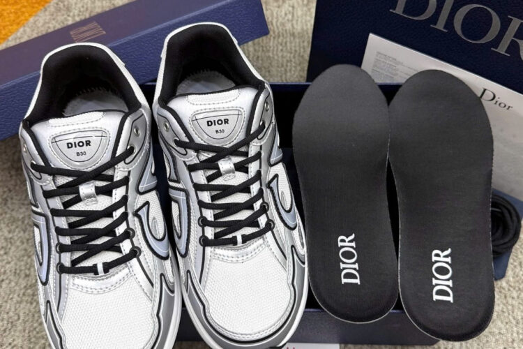 Giày Dior B30 Countdown White Technical Mesh and Silver Metallic Technical