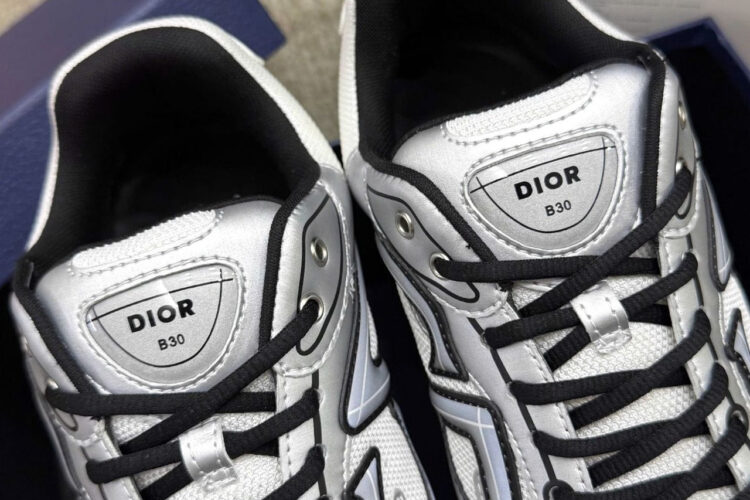 Giày Dior B30 Countdown White Technical Mesh and Silver Metallic Technical