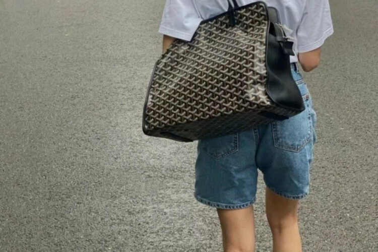 Túi Goyard Hardy PM Bag Black Goyardine Màu Đen