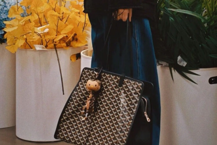 Túi Goyard Hardy PM Bag Black Goyardine Màu Đen