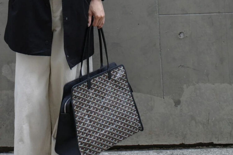Túi Goyard Hardy PM Bag Navy Blue Goyardine Màu Xanh Navy``